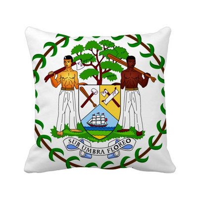 Belize National Emblem Country Square Throw Pillow Insert Cushion Cover Home Sofa Decor Gift
Belize National Emblem Country Square Throw Pillow Insert Cushion Cover Home Sofa Decor Gift