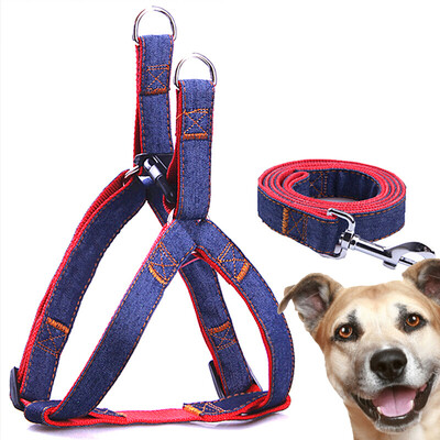 Dipper dog chain dog rope small dog medium dog dog leash rope pet dog leash dog hyena rope golden hair Teddy dog chain cowboy leash rope
Dipper dog chain dog rope small dog medium dog dog leash rope pet dog leash dog hyena rope golden hair Teddy dog chain cowboy leash rope