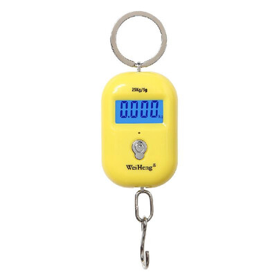 WeiHeng Mini Luggage Scale Portable Electronic Scale Digital Fish Scale with Zero Tracking Function 25kg Doublerange Scale Digital
WeiHeng Mini Luggage Scale Portable Electronic Scale Digital Fish Scale with Zero Tracking Function 25kg Doublerange Scale Digital