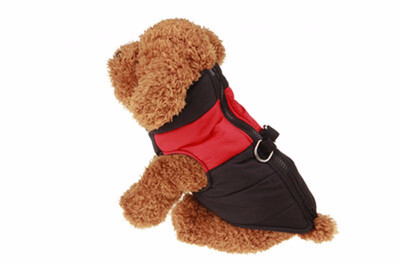 Dog Clothes For Small Dogs Winter Puppy Chihuahua Pet Dog Clothes Waterproof Medium Large Dog Coat Jacket Ropa Para Perros -5XL
Dog Clothes For Small Dogs Winter Puppy Chihuahua Pet Dog Clothes Waterproof Medium Large Dog Coat Jacket Ropa Para Perros -5XL