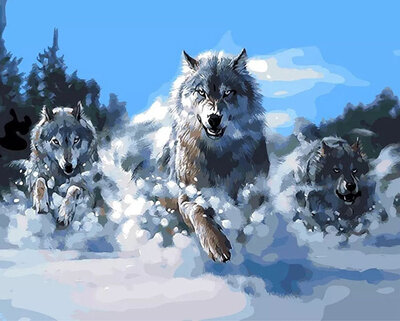 Animals Wolf Oil Painting Diy Paint by Number Kit with No Wooden Frame for Adults Beginners - 3 Running Snow Wolves
Animals Wolf Oil Painting Diy Paint by Number Kit with No Wooden Frame for Adults Beginners - 3 Running Snow Wolves