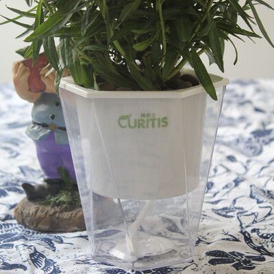 CURITIS diamond transparent self-watering pots water storage self-irrigating flower pots indoor green radish flower pot plastic hydroponic plant pots without plants
CURITIS diamond transparent self-watering pots water storage self-irrigating flower pots indoor green radish flower pot plastic hydroponic plant pots without plants