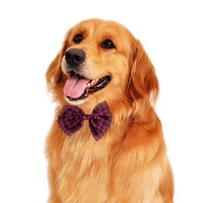 New Pet Dog Ties Neckties Wedding Accessories Dog Bowtie Collar Holidays
New Pet Dog Ties Neckties Wedding Accessories Dog Bowtie Collar Holidays