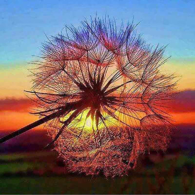 5D DIY Diamond Embroidery Dream Dandelion Sunset Cute Hedgehog Diamond Painting Rhinestone Home Decoration
5D DIY Diamond Embroidery Dream Dandelion Sunset Cute Hedgehog Diamond Painting Rhinestone Home Decoration