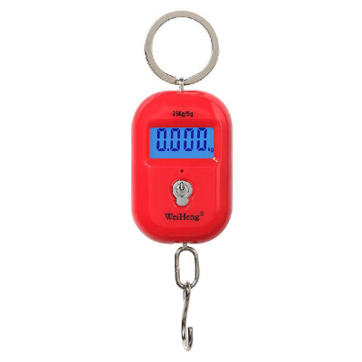 WeiHeng Mini Luggage Scale Portable Electronic Scale Digital Fish Scale with Zero Tracking Function 25kg Doublerange Scale Digital
WeiHeng Mini Luggage Scale Portable Electronic Scale Digital Fish Scale with Zero Tracking Function 25kg Doublerange Scale Digital