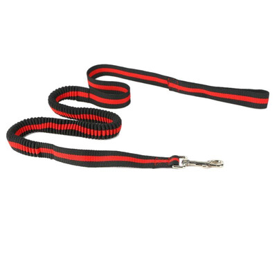 Noctilucent Elastic Adjustable Retractable Lead Rope Dog Running Leash Shock Absorbing Restraints Durable for Pet Vest
Noctilucent Elastic Adjustable Retractable Lead Rope Dog Running Leash Shock Absorbing Restraints Durable for Pet Vest