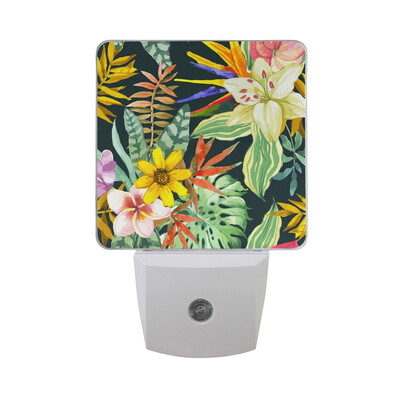 ALAZA LED Night Light With Smart Dusk To Dawn SensorSea Shells Watercolor Illustration Plug In Night Light
ALAZA LED Night Light With Smart Dusk To Dawn SensorSea Shells Watercolor Illustration Plug In Night Light