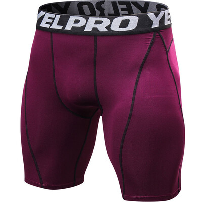 Quick Dry Compression Shorts Sweat Sport Short Trousers Gym Mens Shorts For Running
Quick Dry Compression Shorts Sweat Sport Short Trousers Gym Mens Shorts For Running