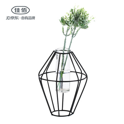 Jiayi wrought iron test tube vase Nordic style metal ornaments green water hydroponics plant vase diameter 11cm height 14cm shuttle
Jiayi wrought iron test tube vase Nordic style metal ornaments green water hydroponics plant vase diameter 11cm height 14cm shuttle