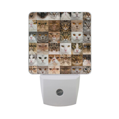 ALAZA LED Night Light With Smart Dusk To Dawn SensorBananas Pattern Different Spheres Plug In Night Light
ALAZA LED Night Light With Smart Dusk To Dawn SensorBananas Pattern Different Spheres Plug In Night Light