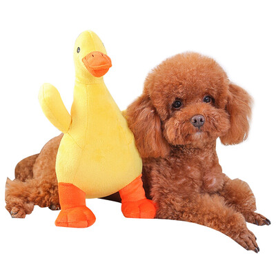 Huayuan pets hoopet dog toy plush bite-sounding vocal small dog puppies fighting Teddy VIP accompanying sleeping pet supplies S
Huayuan pets hoopet dog toy plush bite-sounding vocal small dog puppies fighting Teddy VIP accompanying sleeping pet supplies S