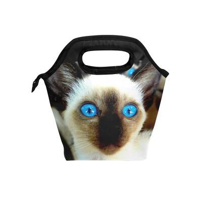 Insulated Lunch Tote Bag Blue Eyes Cat Travel Picnic Lunch Handbags Portable Zipper Lunch Bag Box
Insulated Lunch Tote Bag Blue Eyes Cat Travel Picnic Lunch Handbags Portable Zipper Lunch Bag Box