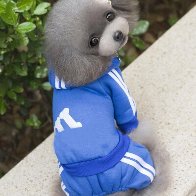 Winter Warm Pet Dog Clothes Wear Jacket Cotton Small Pet Dog Clothes for Dog Jumpsuit Coat Clothing For Dogs Sportswear Hoodie
Winter Warm Pet Dog Clothes Wear Jacket Cotton Small Pet Dog Clothes for Dog Jumpsuit Coat Clothing For Dogs Sportswear Hoodie