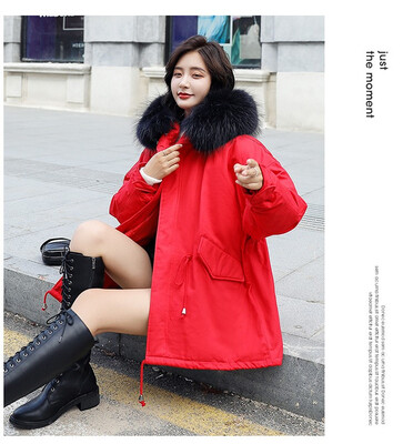 The 2018 winter dress han edition big raccoon fur collar down jacket is thin loose&thick
The 2018 winter dress han edition big raccoon fur collar down jacket is thin loose&thick