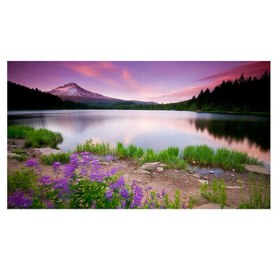 UpperX Full 5D Diy Diamond Painting Cross Stitch "Purple flower Sunset glow" 3D Embroidery Rhinestone Mosaic Decor Paintings
UpperX Full 5D Diy Diamond Painting Cross Stitch "Purple flower Sunset glow" 3D Embroidery Rhinestone Mosaic Decor Paintings