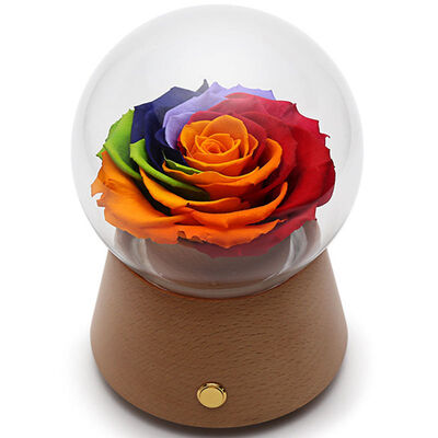Apollo Dreams Colorful Birthday Flowers Bluetooth Voice Send Girlfriends Girls Birthday Gifts Practical Valentine's Day Valentine's Day Eternal Birthday Gift Boxes White Wedding Memorial
Apollo Dreams Colorful Birthday Flowers Bluetooth Voice Send Girlfriends Girls Birthday Gifts Practical Valentine's Day Valentine's Day Eternal Birthday Gift Boxes White Wedding Memorial