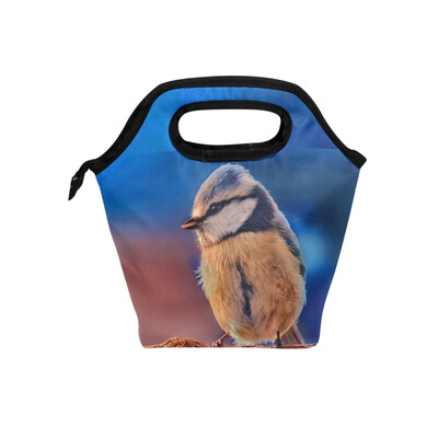 Insulated Lunch Tote Bag Small Bird Travel Picnic Lunch Handbags Portable Zipper Lunch Bag Box
Insulated Lunch Tote Bag Small Bird Travel Picnic Lunch Handbags Portable Zipper Lunch Bag Box