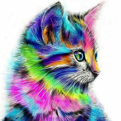 UpperX Frameless Animal Cat Pictures Painting DIY Digital Oil Painting On Canvas Europe Home Decoration Wall Art
UpperX Frameless Animal Cat Pictures Painting DIY Digital Oil Painting On Canvas Europe Home Decoration Wall Art