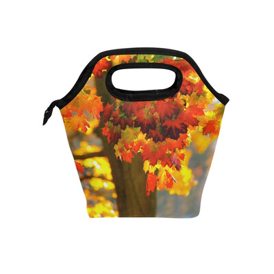 Lunch Tote Bag Fall Tree Travel Picnic Insulated Lunch Handbags Portable Zipper Lunch Bag Box
Lunch Tote Bag Fall Tree Travel Picnic Insulated Lunch Handbags Portable Zipper Lunch Bag Box