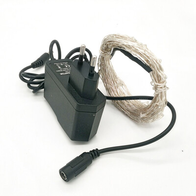 ZDM 10M 100 LED Copper Wire String Light for Festival Christmas Party Decoration DC12V
ZDM 10M 100 LED Copper Wire String Light for Festival Christmas Party Decoration DC12V