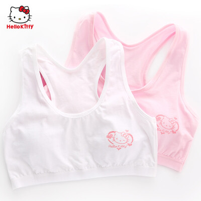 HELLO KITTY bra 2 suits girl underwear development period whipped cartoon cotton tattoo student vest bras bras 2008 pink -85
HELLO KITTY bra 2 suits girl underwear development period whipped cartoon cotton tattoo student vest bras bras 2008 pink -85