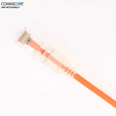 CommScope 1859881-2 6 класс неэкранированного сверхтонкого перемычки оранжевый 2 метра (оригинальный бренд Amp)
CommScope 1859881-2 6 класс неэкранированного сверхтонкого перемычки оранжевый 2 метра (оригинальный бренд Amp)