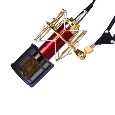 Double Connaught D3301 large diaphragm capacitor microphone network K song network host broadcast wheat studio dedicated
Double Connaught D3301 large diaphragm capacitor microphone network K song network host broadcast wheat studio dedicated