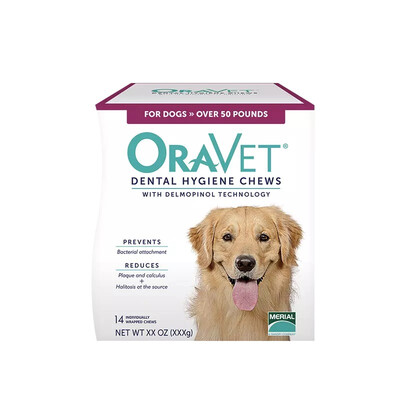 The United States imported tooth mouth dog with clean teeth mini dog number to mouth stinky teeth stones
The United States imported tooth mouth dog with clean teeth mini dog number to mouth stinky teeth stones