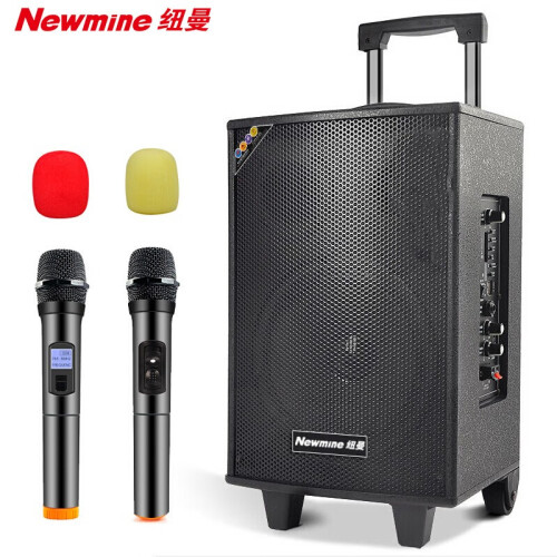 纽曼（Newmine） 纽曼 木质蓝牙拉杆音箱广场舞音响 户外低音炮便携式插卡扩音器带无线话筒8英寸 标配+双手持麦克风