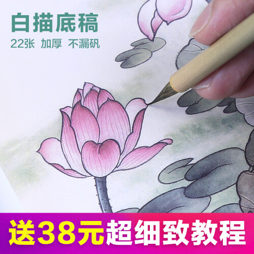 长书工笔画白描底稿初学者狼毫毛笔勾线山水花鸟国画教程熟宣纸颜料套装荷花牡丹可直接上色带步骤零基础 白描综合底稿22张（送38元教程1本 厚88...