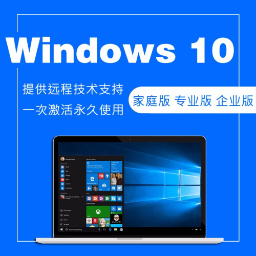 正版Win10系统/Windows10系统家庭版/专业版/激活密钥/激活码/安装U盘 家庭版 电子版+安装U盘 无票