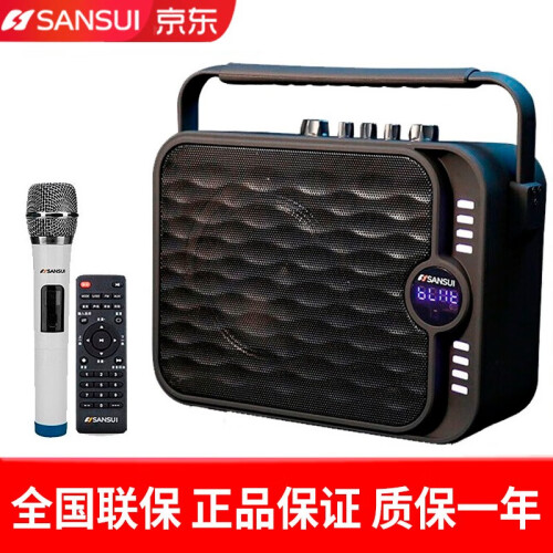 山水（SANSUI）SS1-06无线蓝牙音响户外广场舞音箱便携式手提式迷你插卡大功率复古低音炮带话筒 山水官方标配