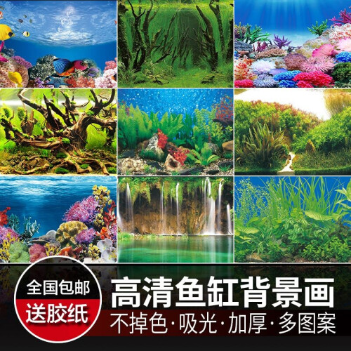 金利佳（Jeneca） 鱼缸专用背景纸水族箱高清背景画鱼缸背景图 鱼缸贴纸壁纸壁画 高30长42(厘米)