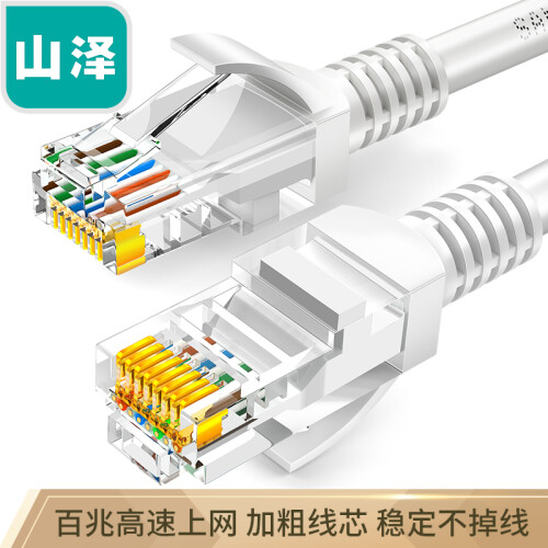 山泽(SAMZHE)超五类网线 CAT5e类高速百兆网线 3米 工程/宽带电脑家用连接跳线 成品网线 贝吉色 ZW-03