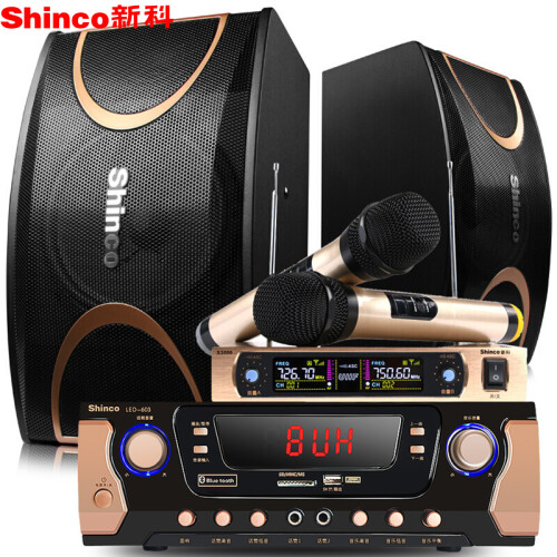 新科 （Shinco） OK910 家庭影院KTV音响套装 家用会议蓝牙功放音箱组合（10英寸）