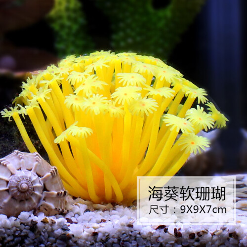 水族箱鱼缸造景仿真水草生态装饰高仿真 海葵软珊瑚