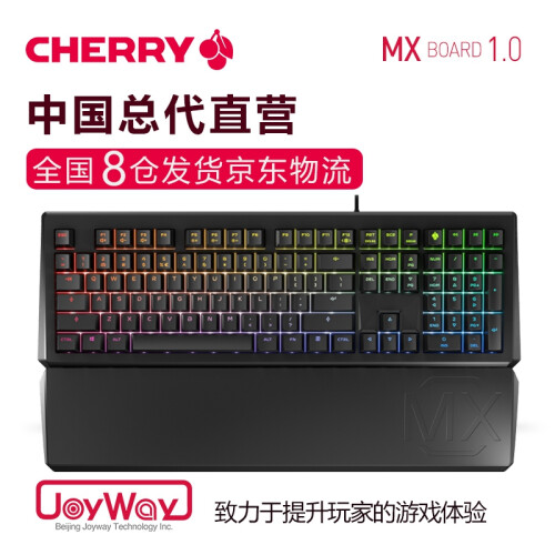 樱桃（CHERRY）MX1.0 机械键盘 游戏键盘 便携键盘 人体工学设计 电脑键盘 108键RGB 青轴