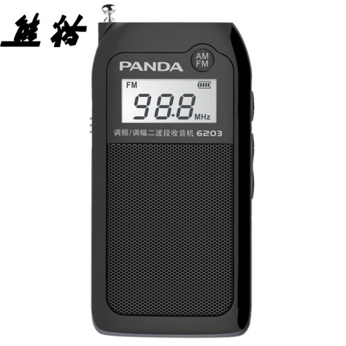 熊猫（PANDA）6203锂电二波段收音机 小型袖珍便携式插卡迷你音响 老人半导体（黑色）