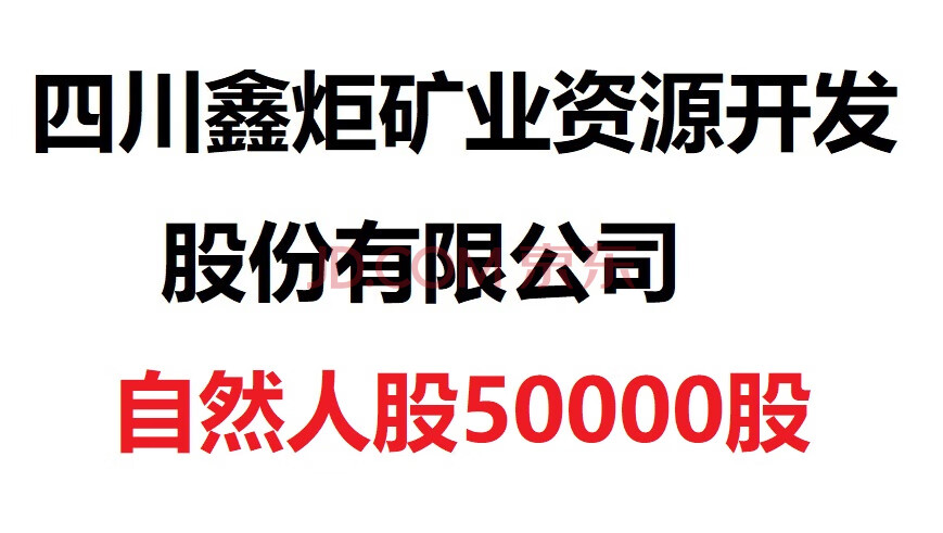 四川鑫炬矿业资源开发股份有限公司50000股自然人股