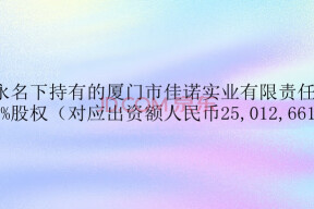 上海金融法院关于苏宏永名下持有的厦门市佳诺实业有限责任公司的1251