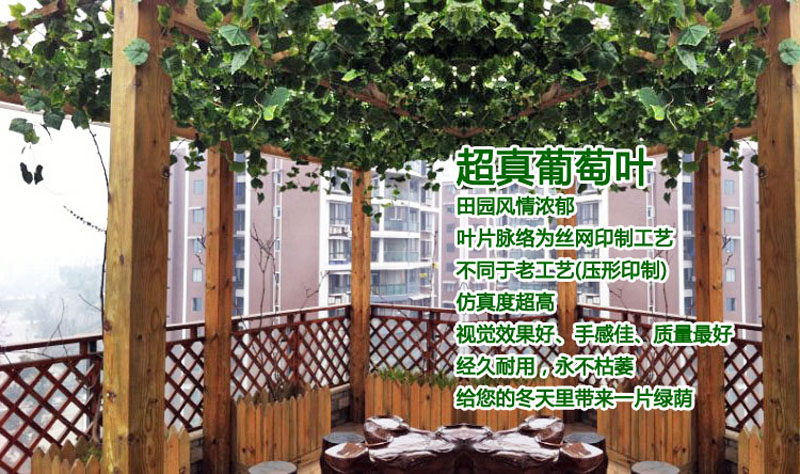 
                                        
                                        畅宁 花藤藤条【高仿真叶 1包(5根)】仿真植物绿叶藤条 庭院装饰仿真花假花干花家居装饰 (葡萄叶1包(5根))                