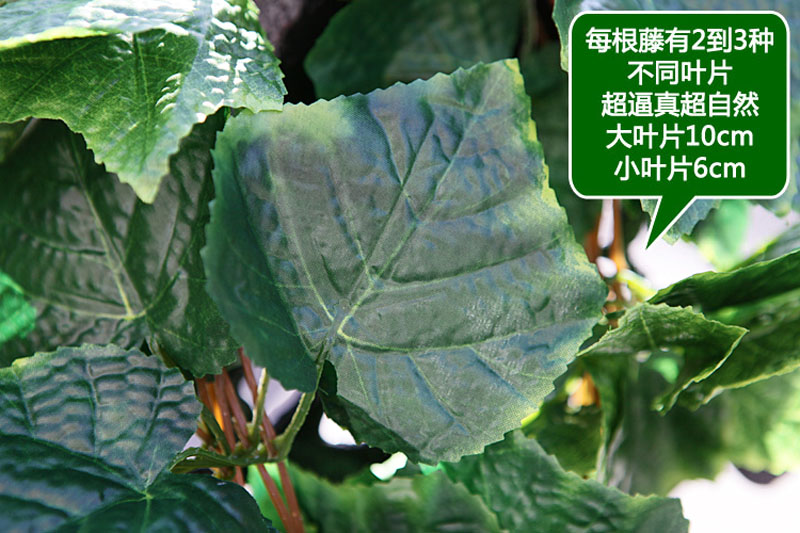 
                                        
                                        畅宁 花藤藤条【高仿真叶 1包(5根)】仿真植物绿叶藤条 庭院装饰仿真花假花干花家居装饰 (葡萄叶1包(5根))                