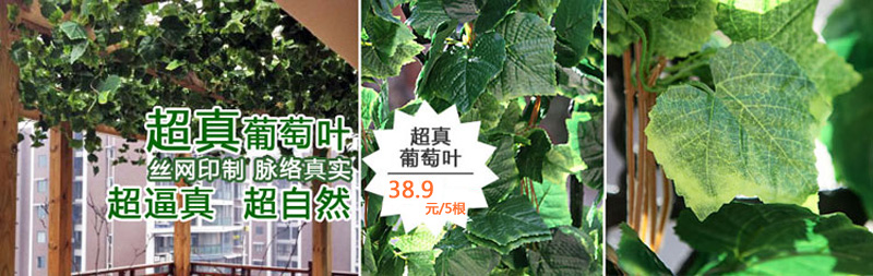 
                                        
                                        畅宁 花藤藤条【高仿真叶 1包(5根)】仿真植物绿叶藤条 庭院装饰仿真花假花干花家居装饰 (葡萄叶1包(5根))                
