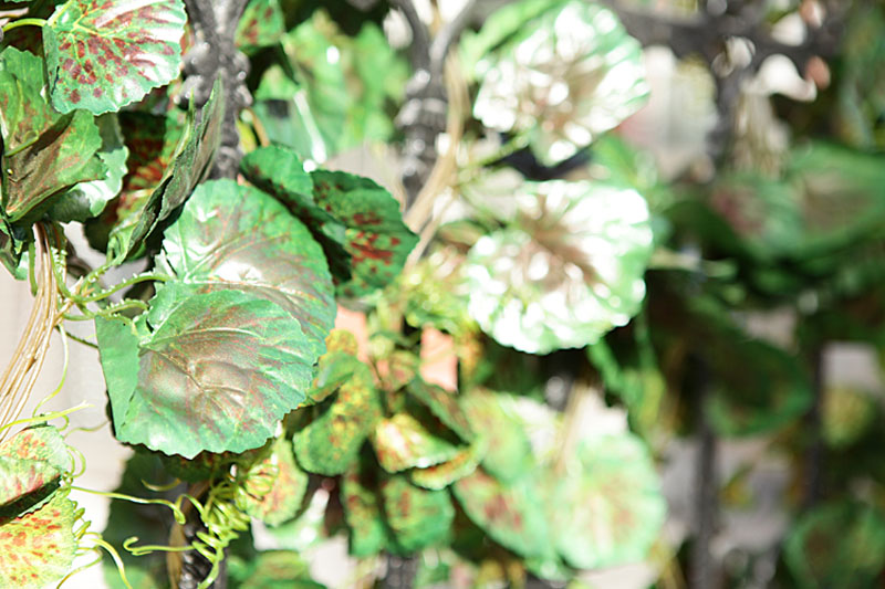 
                                        
                                        畅宁 花藤藤条【高仿真叶 1包(5根)】仿真植物绿叶藤条 庭院装饰仿真花假花干花家居装饰 (葡萄叶1包(5根))                