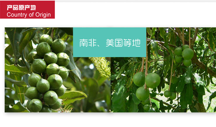 澳洲干果皇后 特级夏威夷果 228g\/澳洲干果皇后 特级夏威夷果 228g产地,新品系列图片,专卖店批发查询信息 - 51比购网,我要网购我要比