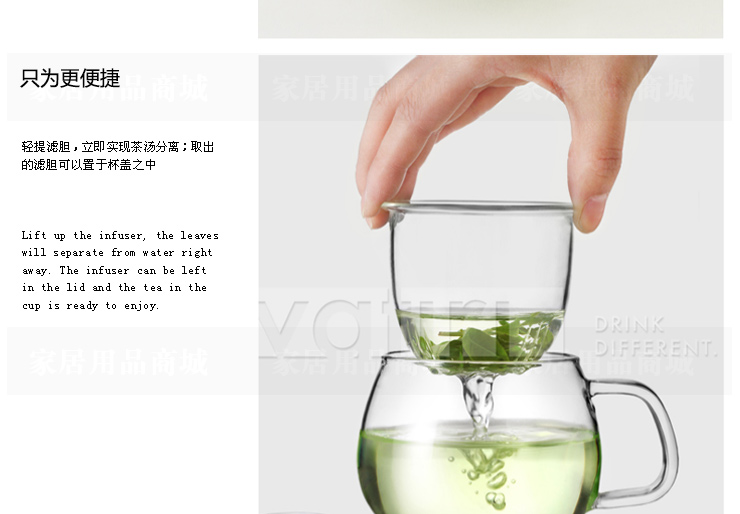 VATIRI乐怡 圆趣情侣茶杯 泡茶杯子过滤玻璃杯水杯 