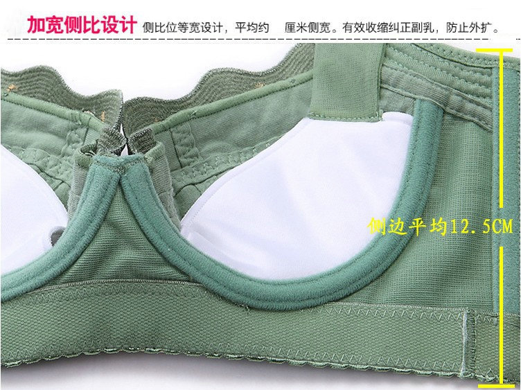 翔戈红 2014青苹果内衣集中调整<em>聚拢型文胸</em> 五