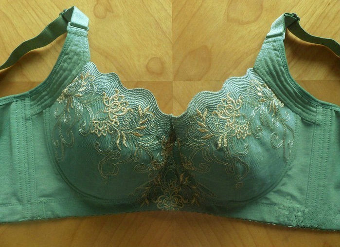 翔戈红 2014青苹果内衣集中调整<em>聚拢型文胸</em> 五