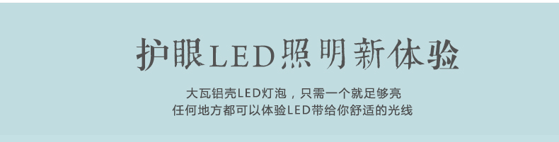 本邦led灯泡E27螺口大功率节能球泡 36W 白光
