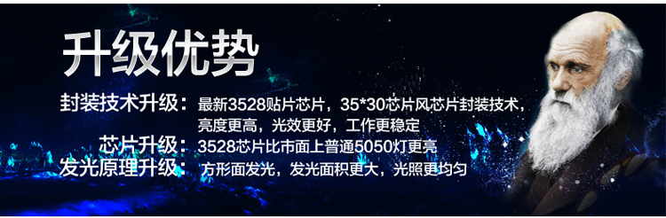 朗硕 LED贴片灯带SMD3528-60珠灯带背景灯220V暗槽灯软灯条 蓝